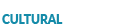 Plataformização Cultural